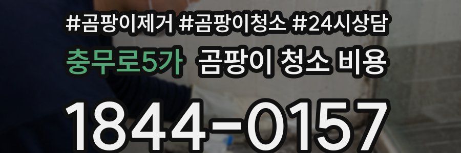 충무로5가 곰팡이 청소 비용