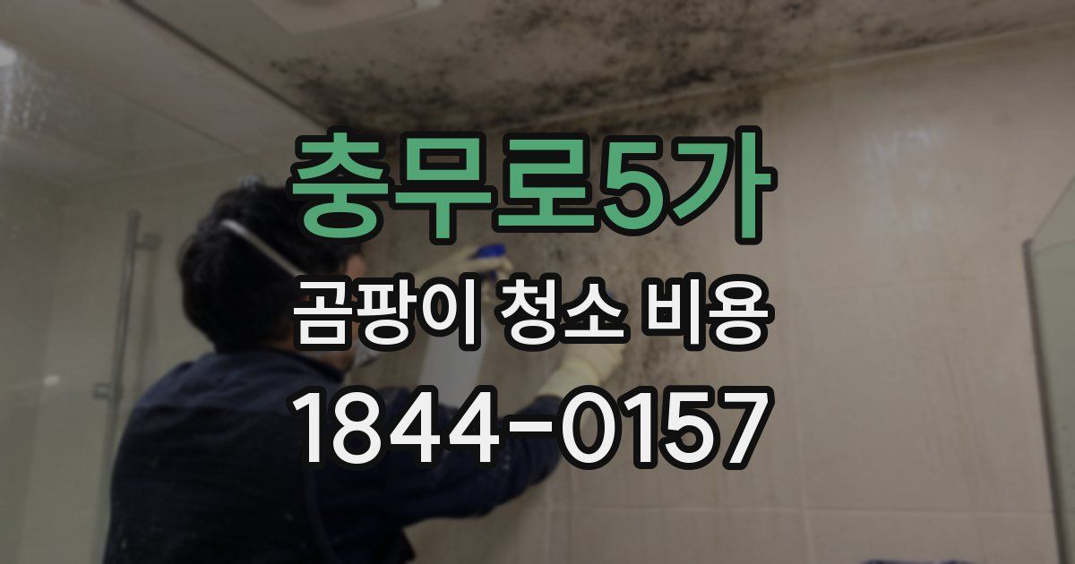 충무로5가 곰팡이 청소 비용