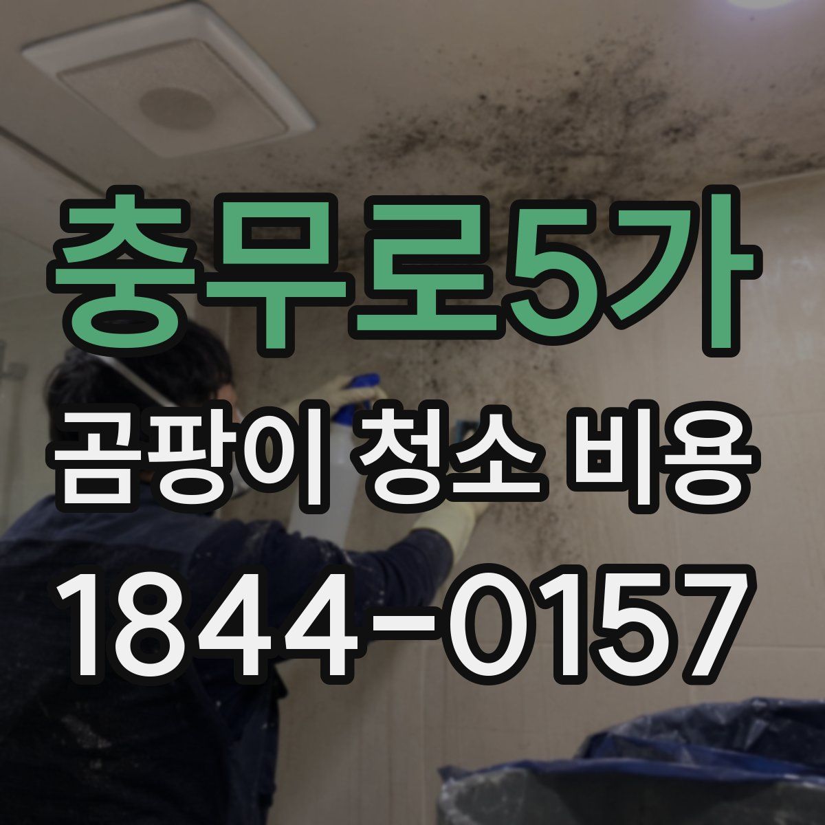 충무로5가 곰팡이 청소 비용