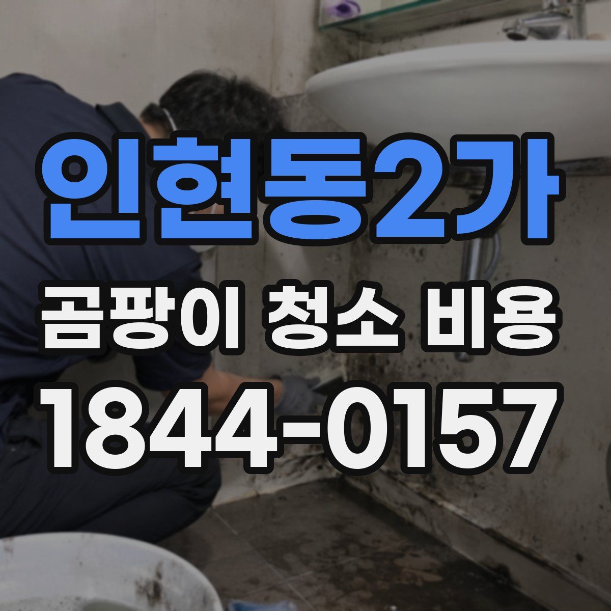인현동2가 곰팡이 청소 비용
