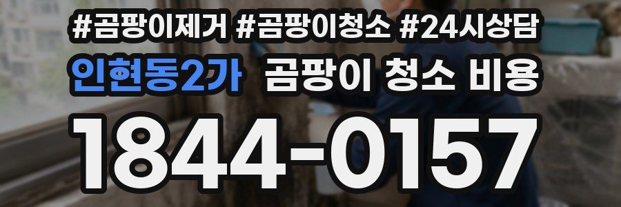 인현동2가 곰팡이 청소 비용
