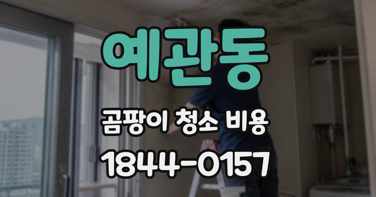 예관동 곰팡이 청소 비용
