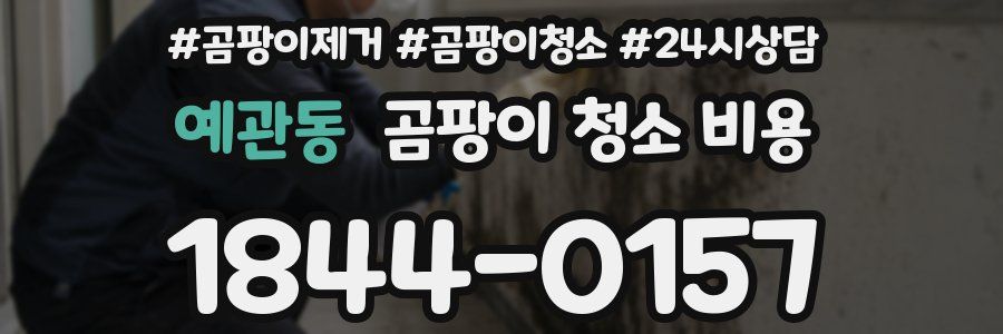 예관동 곰팡이 청소 비용