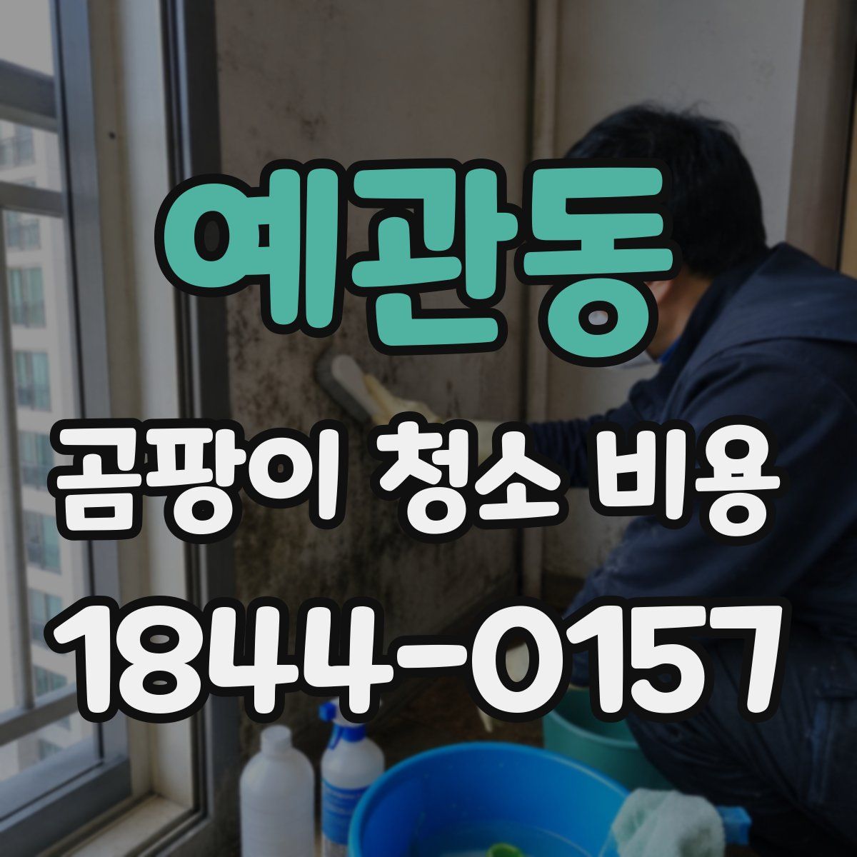 예관동 곰팡이 청소 비용