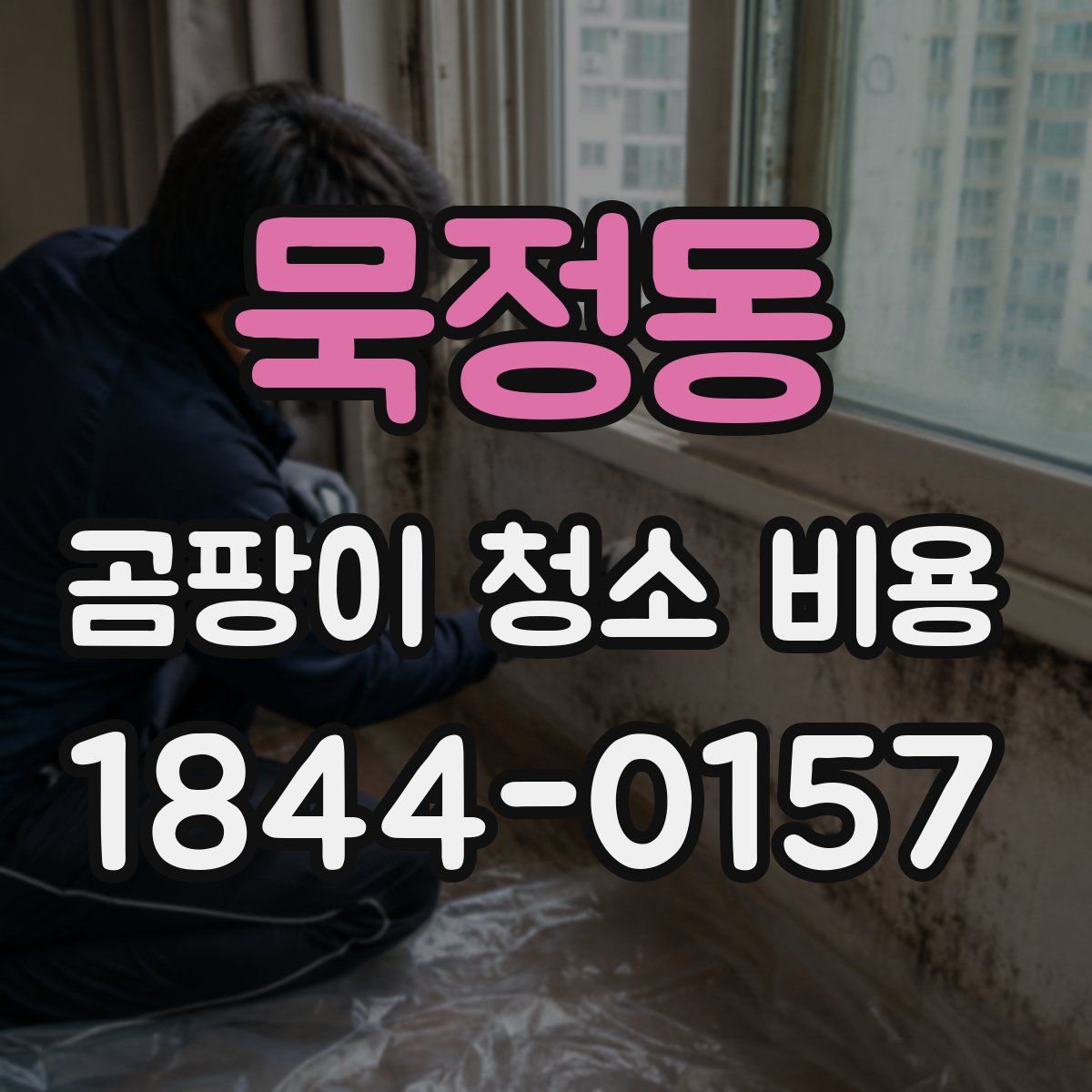 묵정동 곰팡이 청소 비용