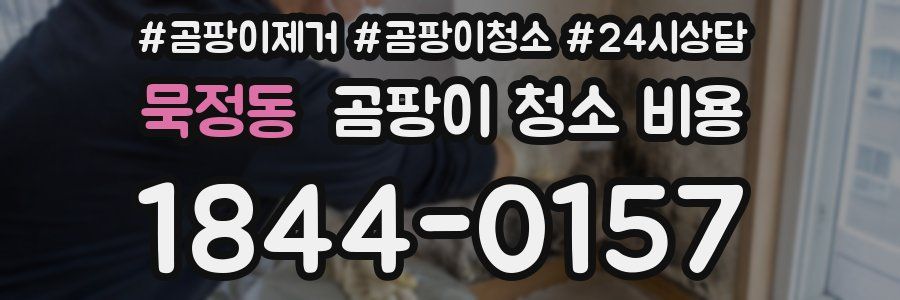 묵정동 곰팡이 청소 비용