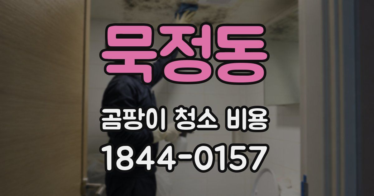 묵정동 곰팡이 청소 비용