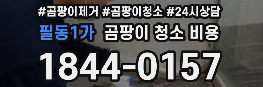 필동1가 곰팡이 청소 비용