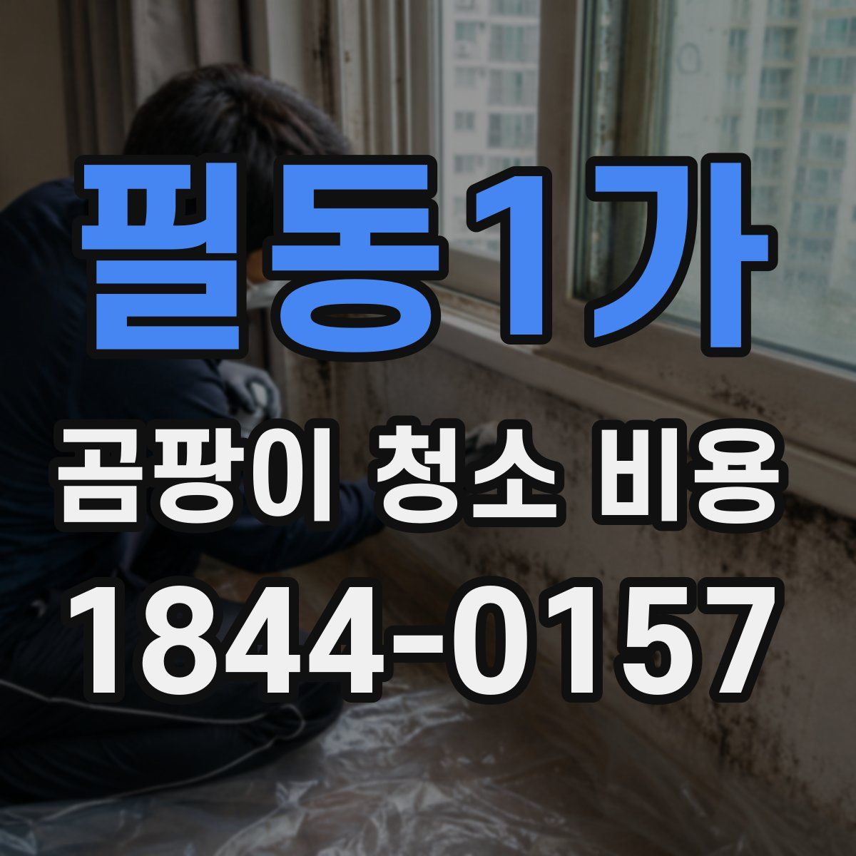 필동1가 곰팡이 청소 비용