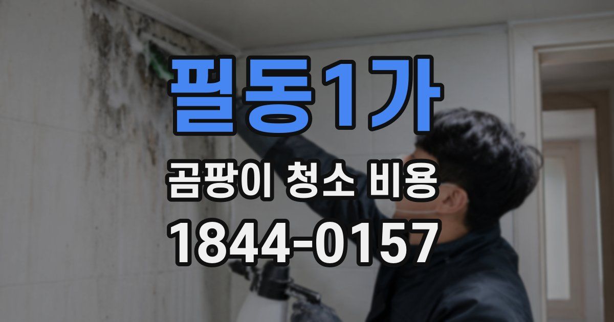 필동1가 곰팡이 청소 비용