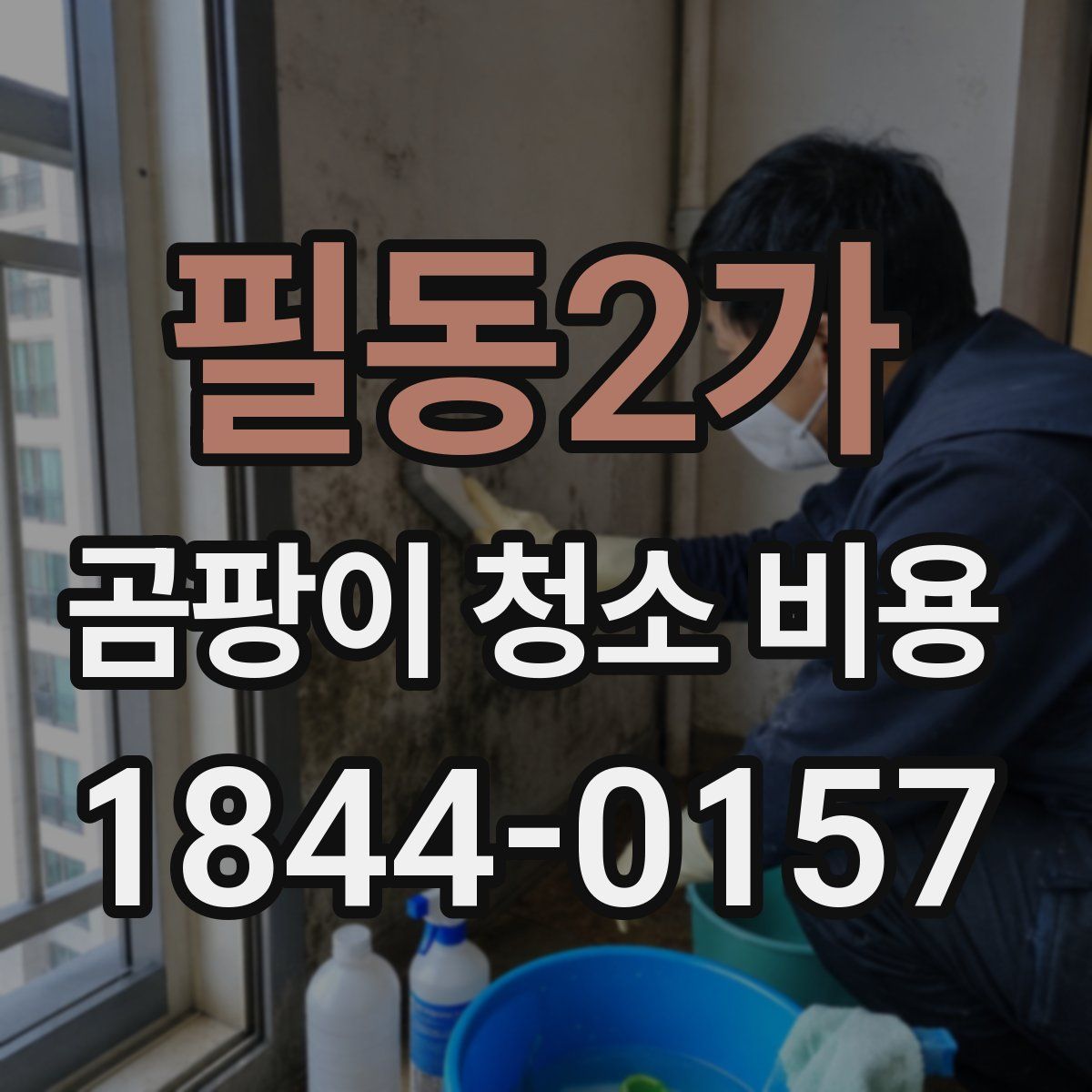 필동2가 곰팡이 청소 비용