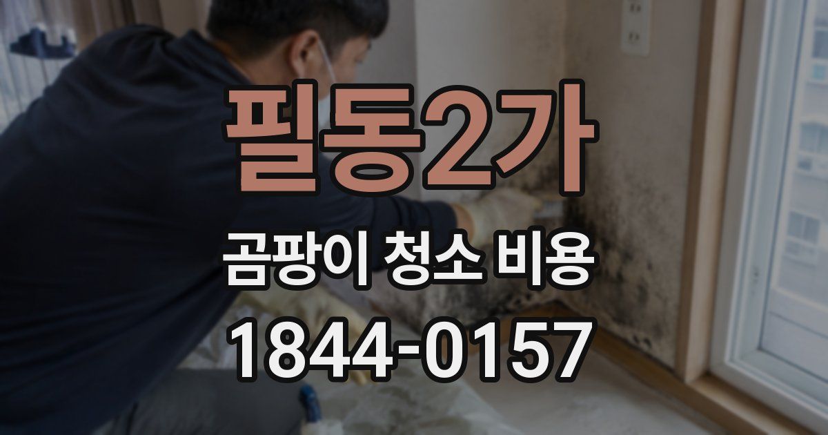 필동2가 곰팡이 청소 비용