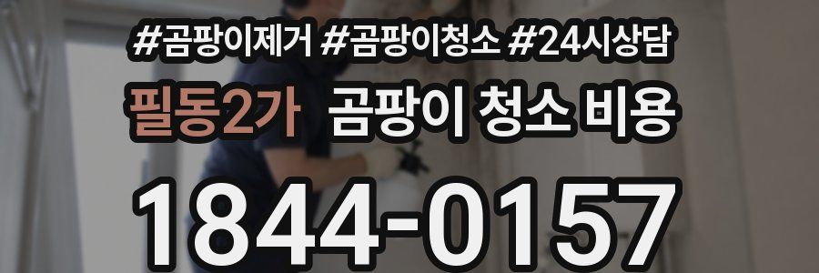 필동2가 곰팡이 청소 비용