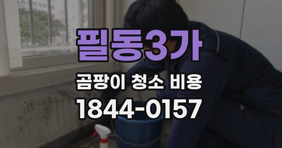 필동3가 곰팡이 청소 비용