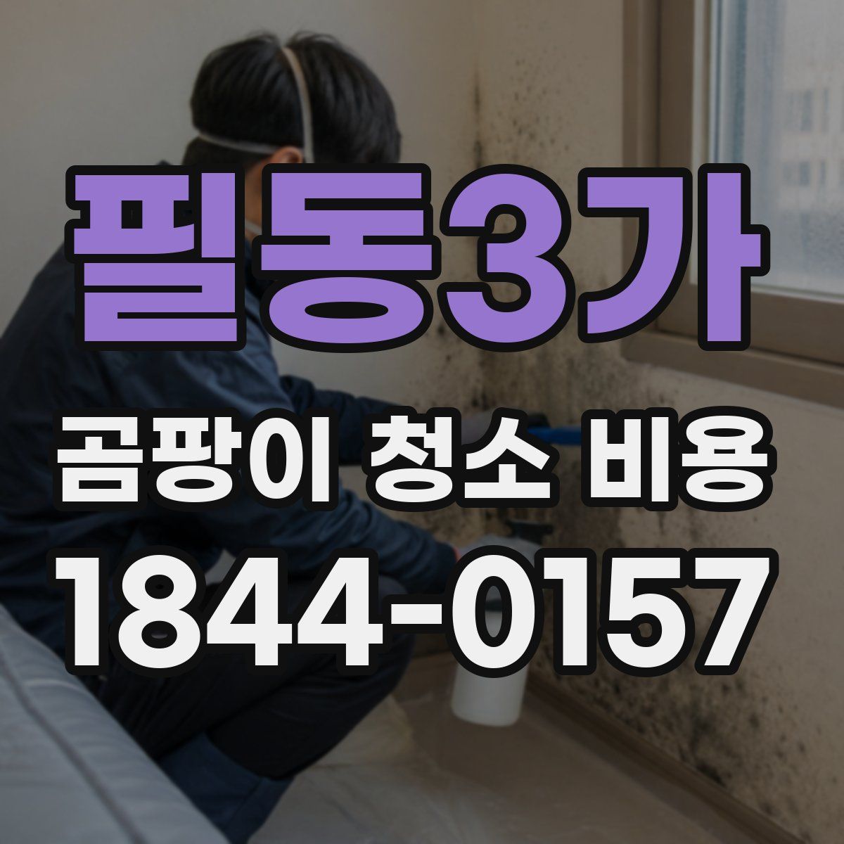 필동3가 곰팡이 청소 비용