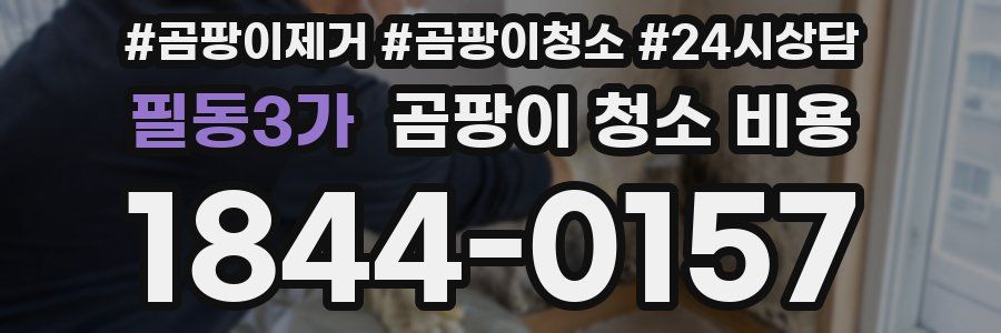 필동3가 곰팡이 청소 비용