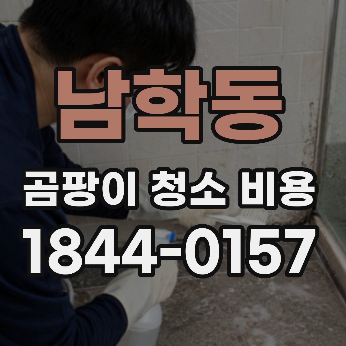 남학동 곰팡이 청소 비용