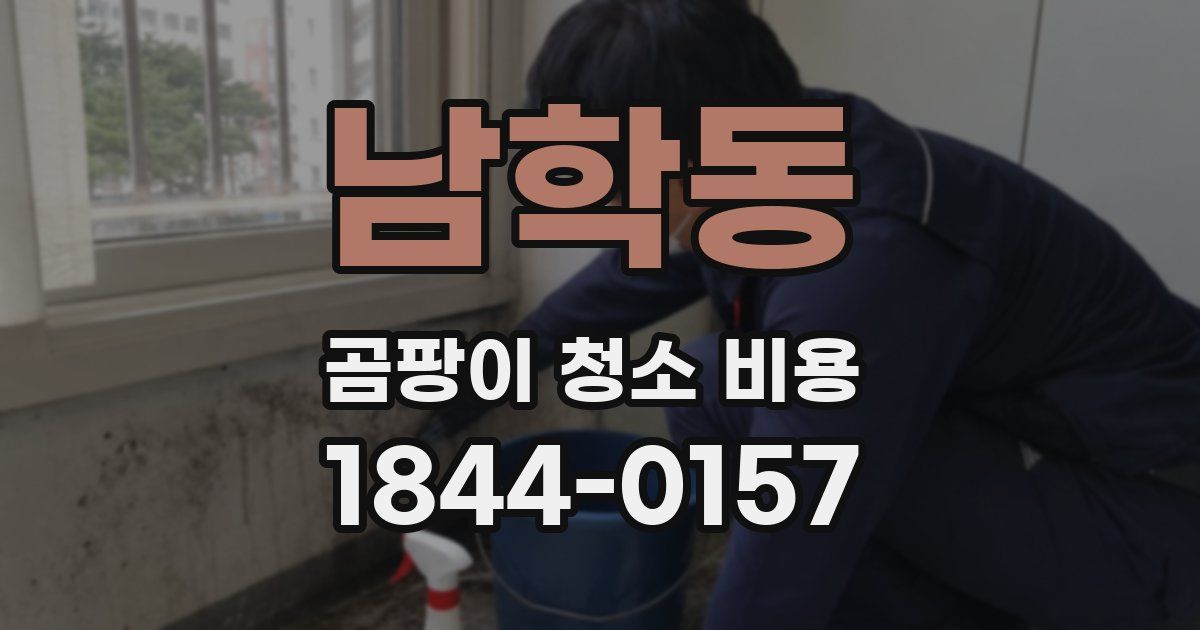 남학동 곰팡이 청소 비용