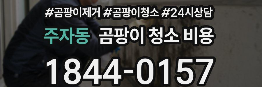 주자동 곰팡이 청소 비용