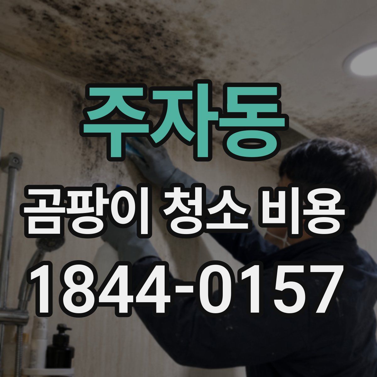 주자동 곰팡이 청소 비용
