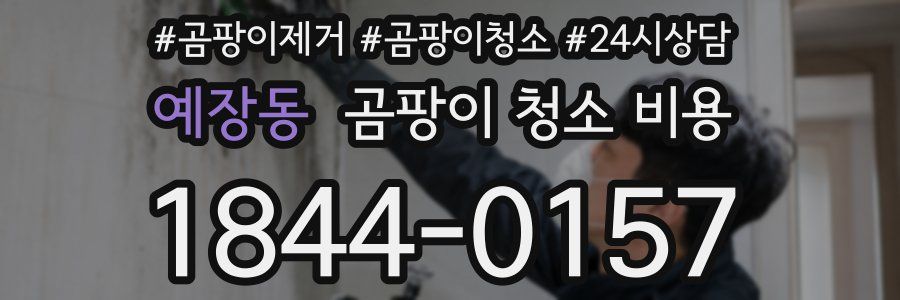 예장동 곰팡이 청소 비용