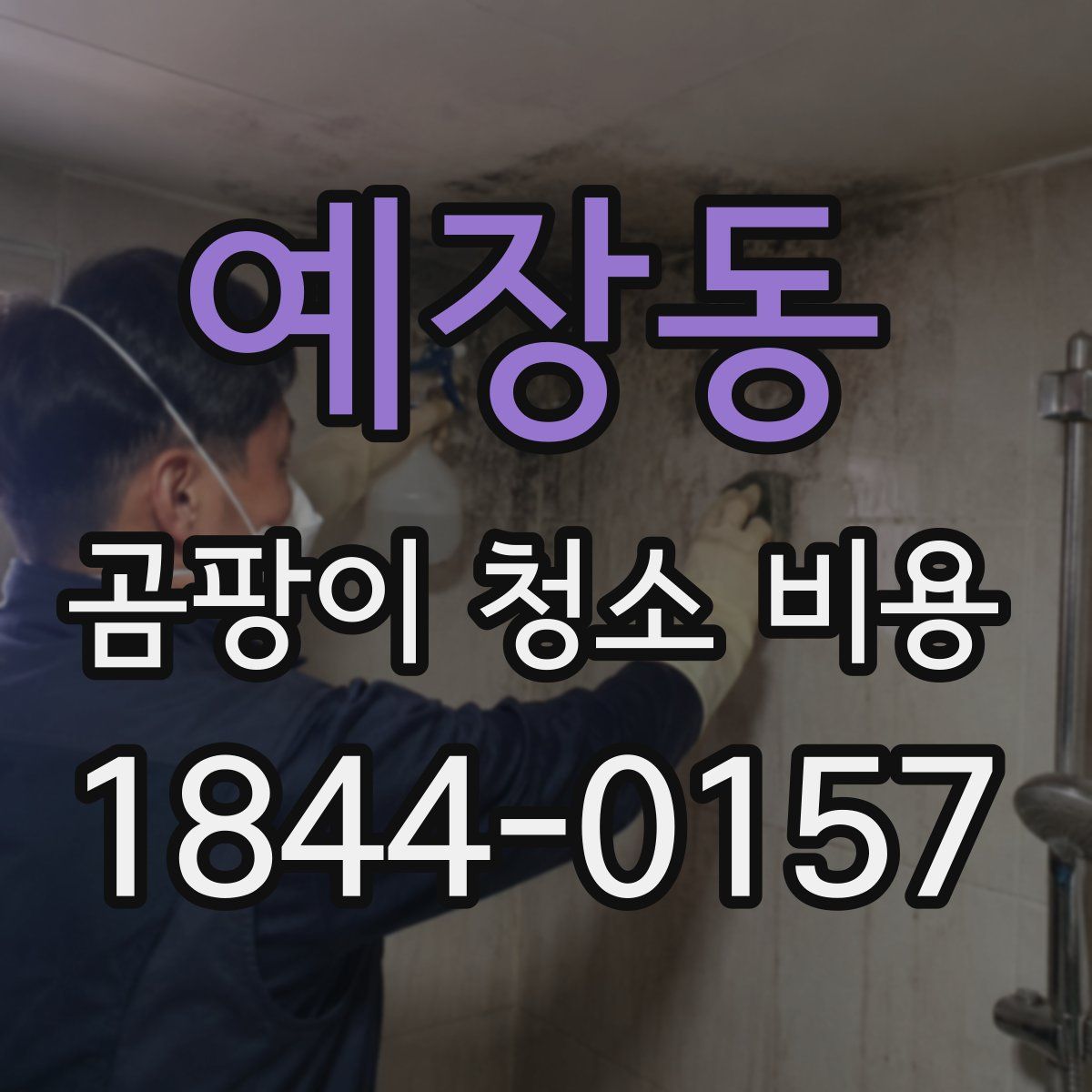 예장동 곰팡이 청소 비용