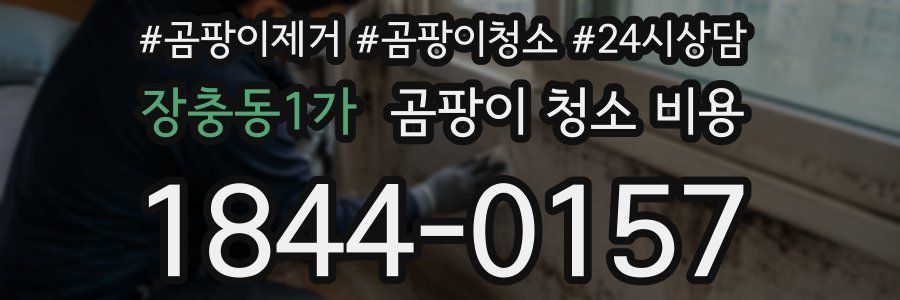 장충동1가 곰팡이 청소 비용