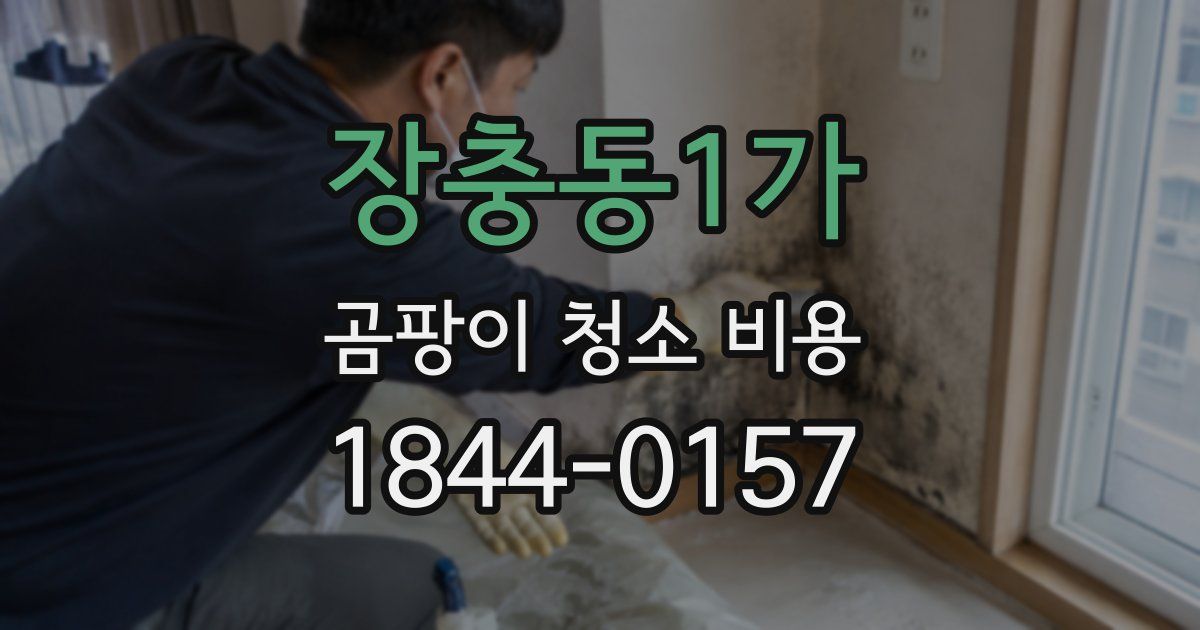 장충동1가 곰팡이 청소 비용