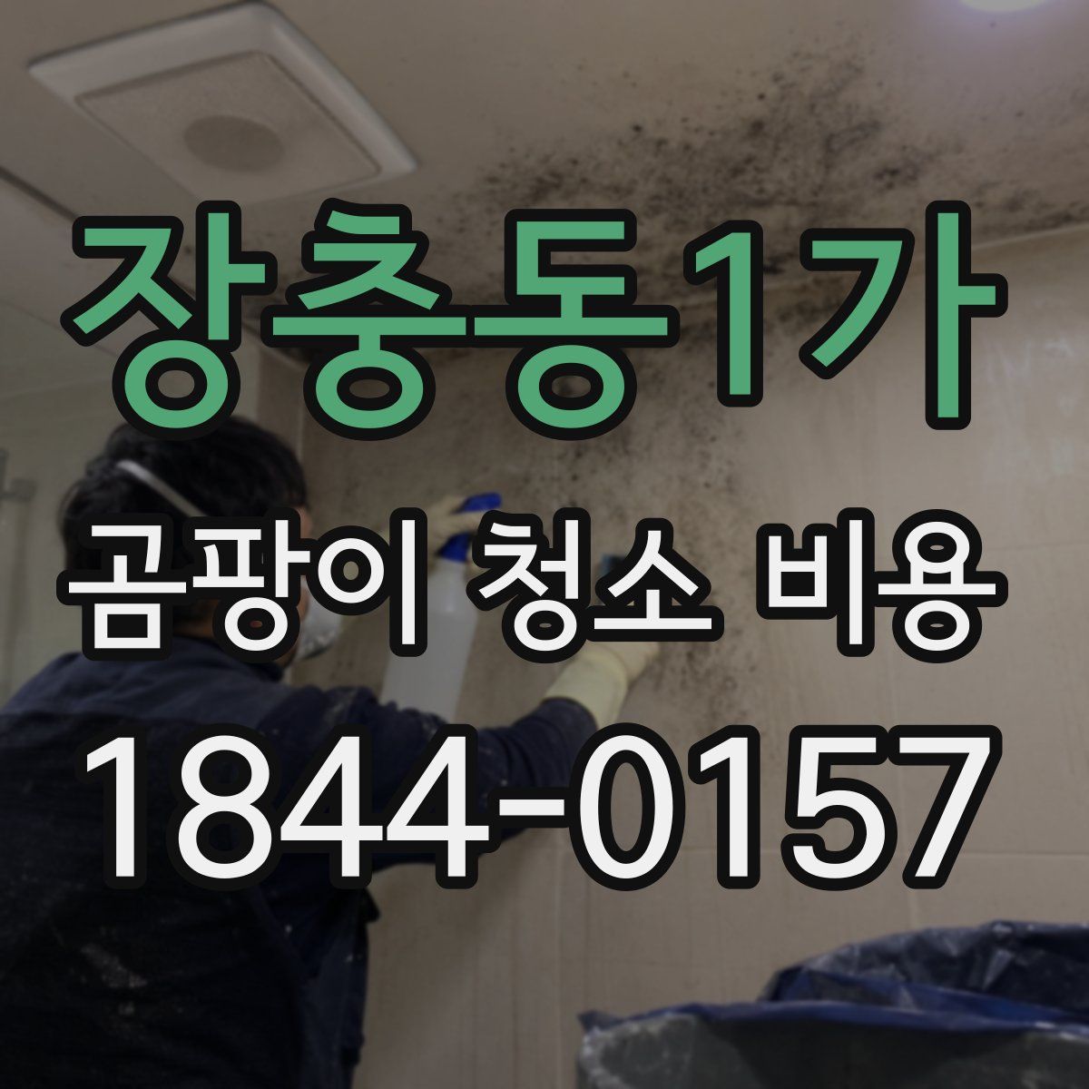 장충동1가 곰팡이 청소 비용