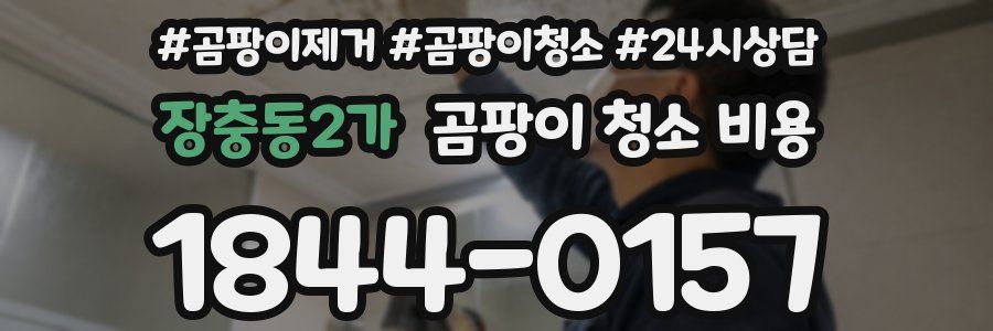 장충동2가 곰팡이 청소 비용