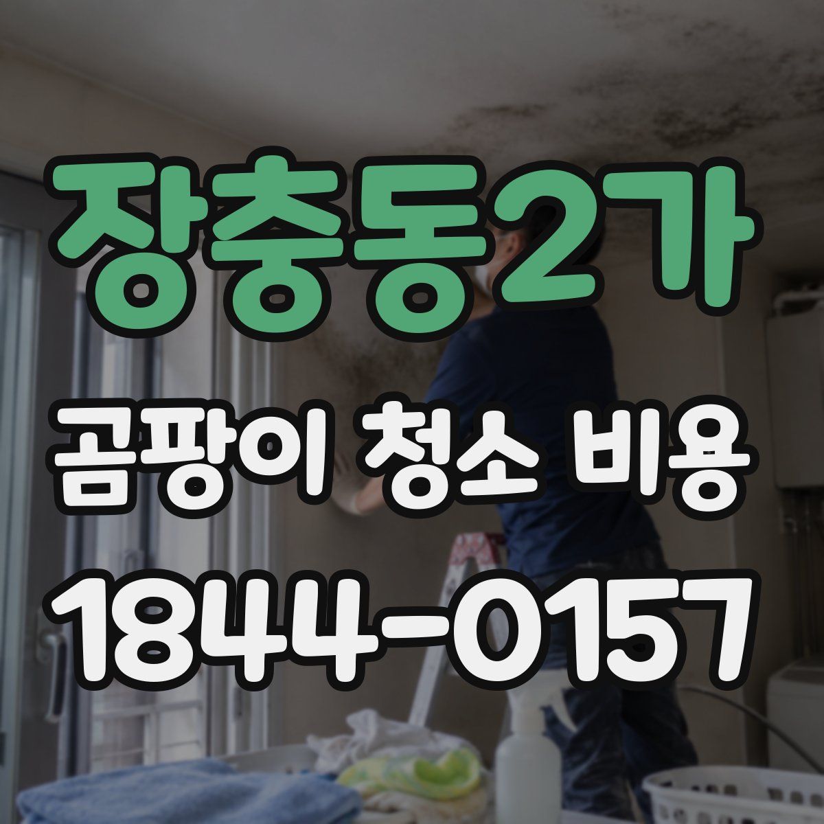 장충동2가 곰팡이 청소 비용