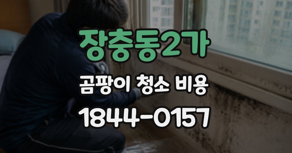 장충동2가 곰팡이 청소 비용