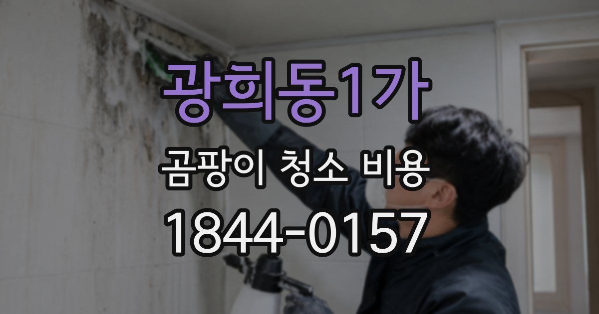 광희동1가 곰팡이 청소 비용
