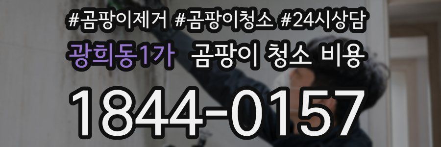 광희동1가 곰팡이 청소 비용