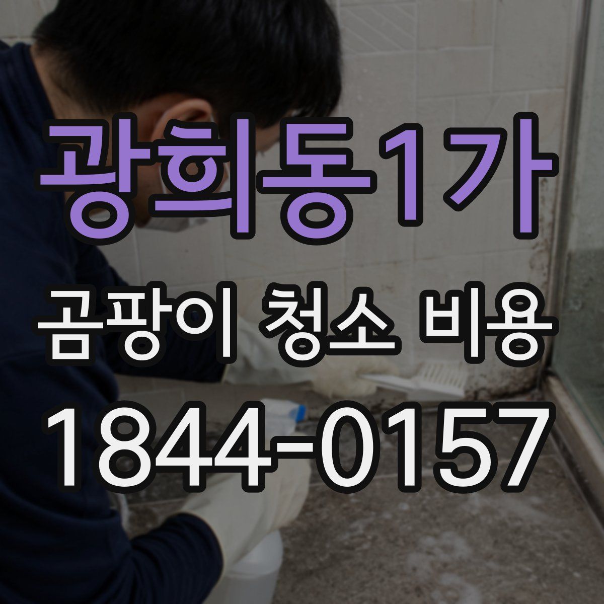 광희동1가 곰팡이 청소 비용