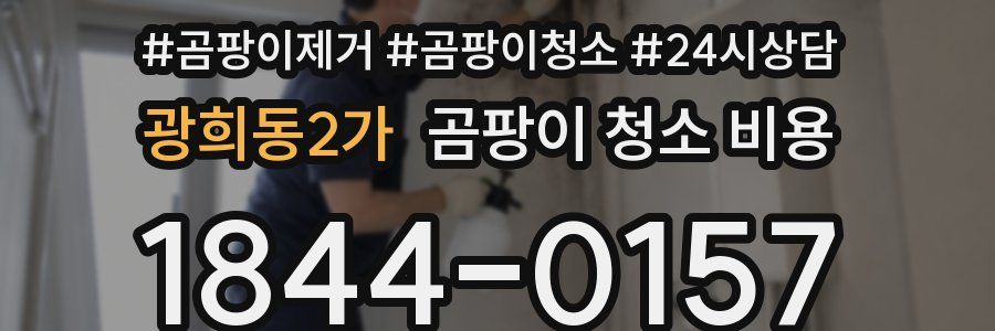 광희동2가 곰팡이 청소 비용