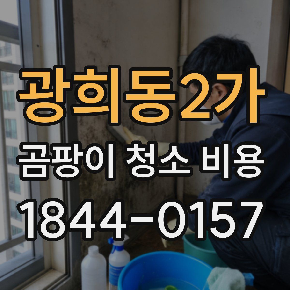 광희동2가 곰팡이 청소 비용
