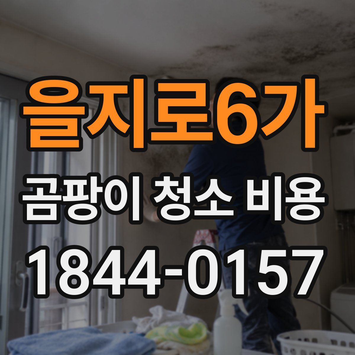 을지로6가 곰팡이 청소 비용