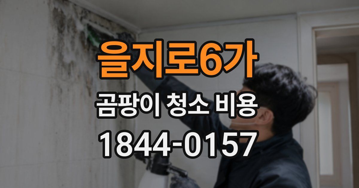 을지로6가 곰팡이 청소 비용