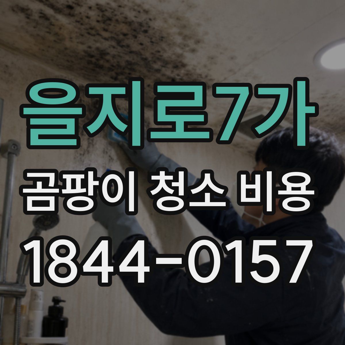 을지로7가 곰팡이 청소 비용