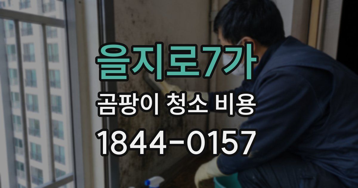 을지로7가 곰팡이 청소 비용