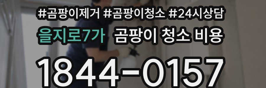 을지로7가 곰팡이 청소 비용