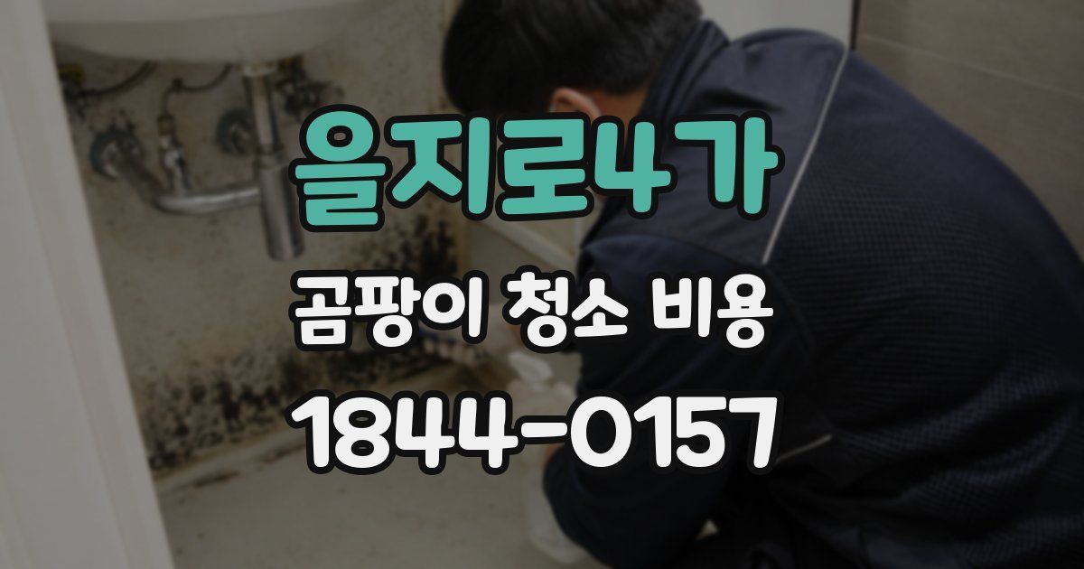 을지로4가 곰팡이 청소 비용