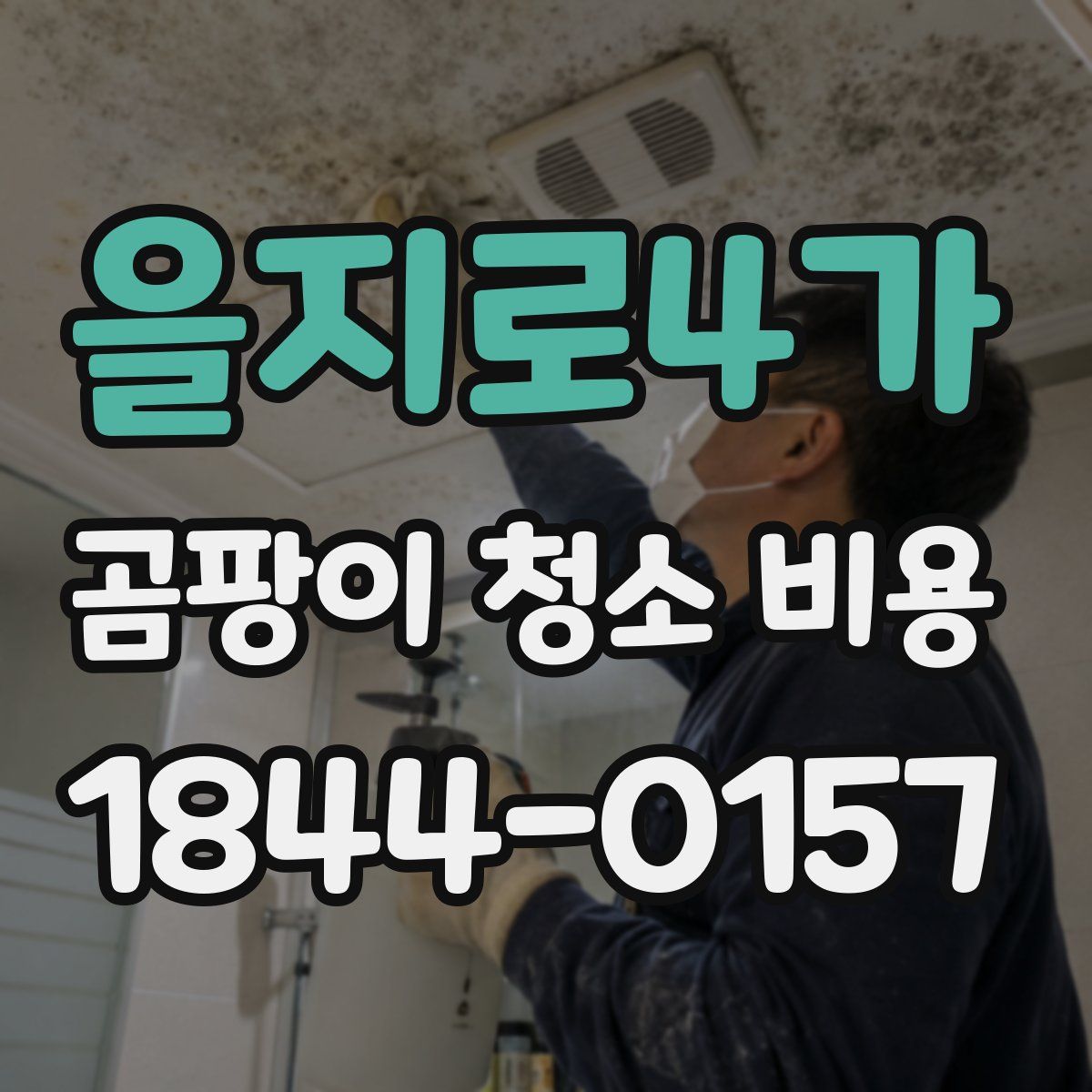 을지로4가 곰팡이 청소 비용