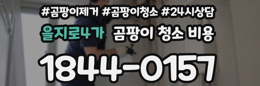 을지로4가 곰팡이 청소 비용