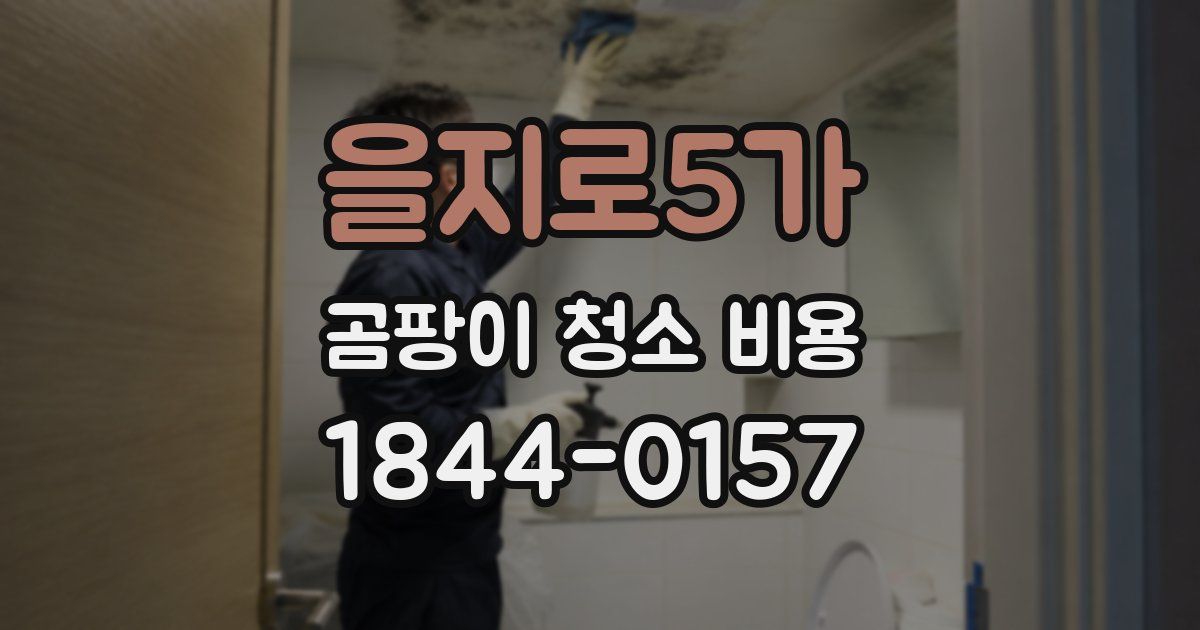 을지로5가 곰팡이 청소 비용