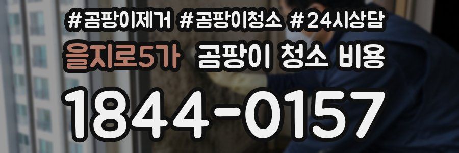 을지로5가 곰팡이 청소 비용