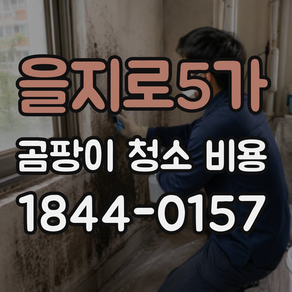 을지로5가 곰팡이 청소 비용
