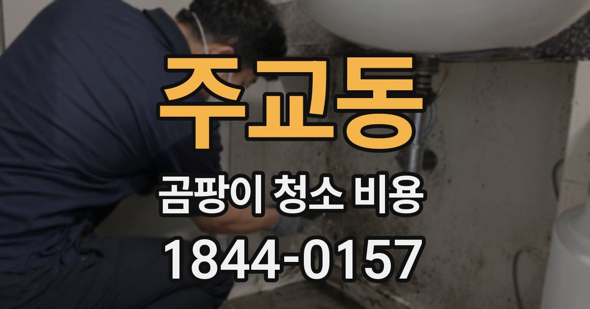 주교동 곰팡이 청소 비용
