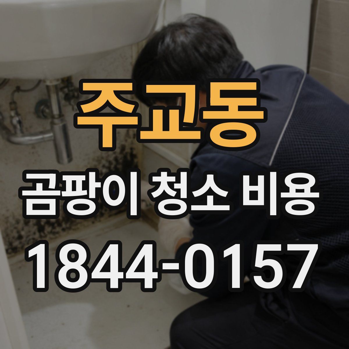 주교동 곰팡이 청소 비용
